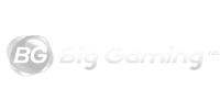 Big Gaming (大游)